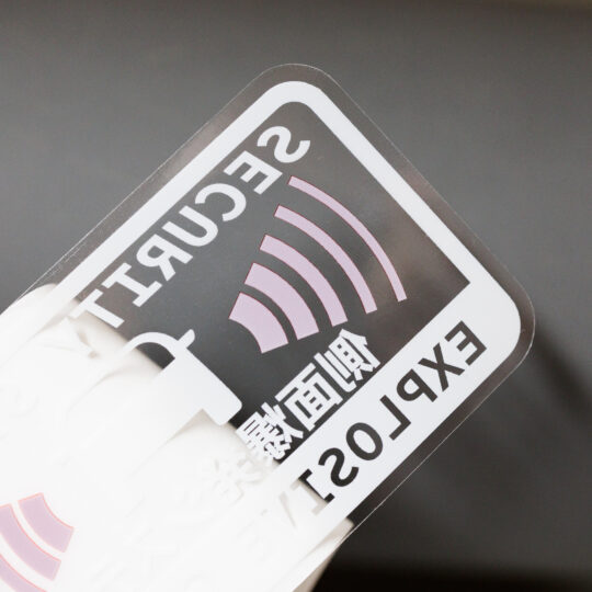 Alternative view of desu security system